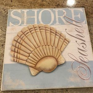 11x11 square seashell picture
